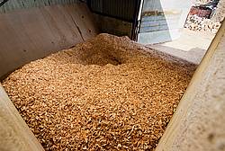 Woodchips piled high inside a typical chip fuel store